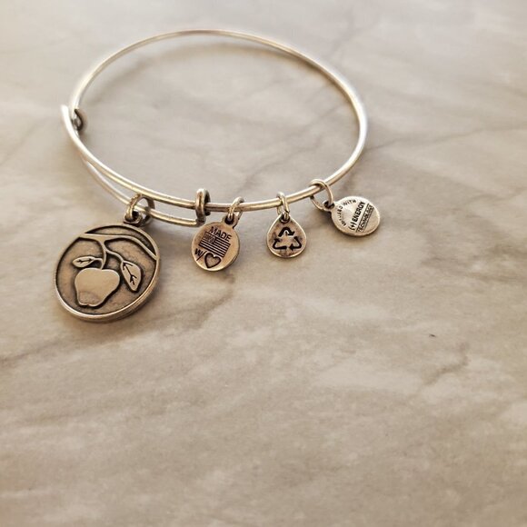 🍎 Alex and Ani Silver Apple Expandable Bangle Charm Bracelet Teacher 🍎 - Picture 2 of 4